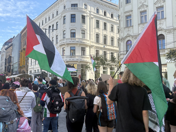 FOTOGALERIE: Mrd*me vládu, vzkázali protestující za Palestinu. V Brně jich pochodovaly desítky