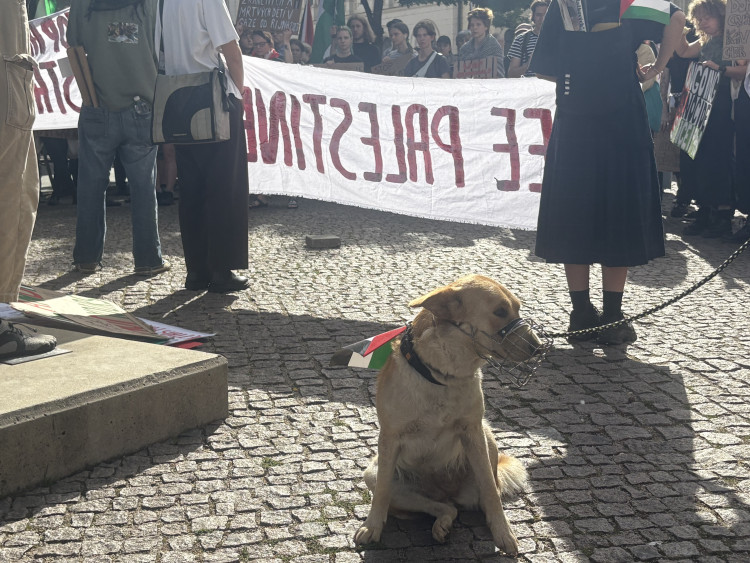 FOTOGALERIE: Mrd*me vládu, vzkázali protestující za Palestinu. V Brně jich pochodovaly desítky