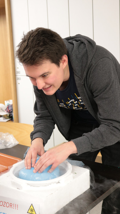 FOTO: Noc vědců v Brně navštívily stovky lidí, nejčastěji rodiny s dětmi