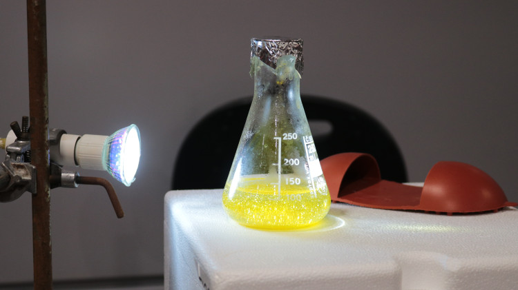 FOTO: Noc vědců v Brně navštívily stovky lidí, nejčastěji rodiny s dětmi