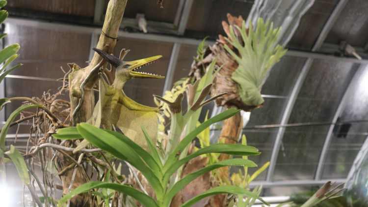 FOTO: Noc vědců v Brně navštívily stovky lidí, nejčastěji rodiny s dětmi