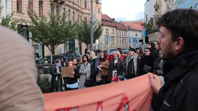 FOTOGALERIE: „Brno proti fašismu!“ skandovaly stovky demonstrantů