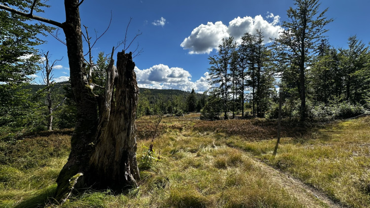 Výlet na Scheuereckberg a Gsenget