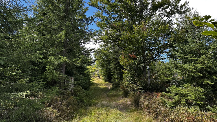 Cesta na Scheuereckberg