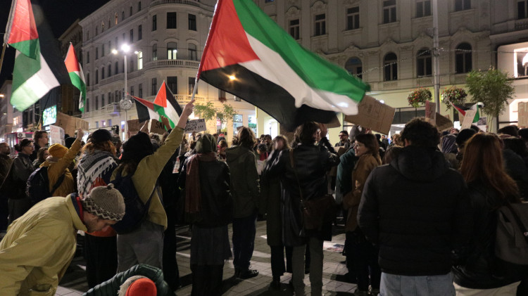FOTO: Aktivisté protestovali na podporu Šárky, stala se nezvěstnou na cestě do Gazy