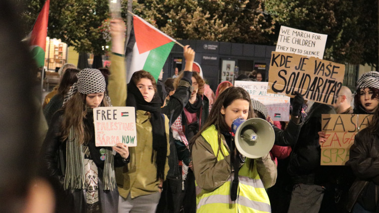 FOTO: Aktivisté protestovali na podporu Šárky, stala se nezvěstnou na cestě do Gazy