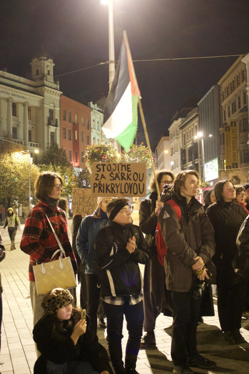 FOTO: Aktivisté protestovali na podporu Šárky, stala se nezvěstnou na cestě do Gazy