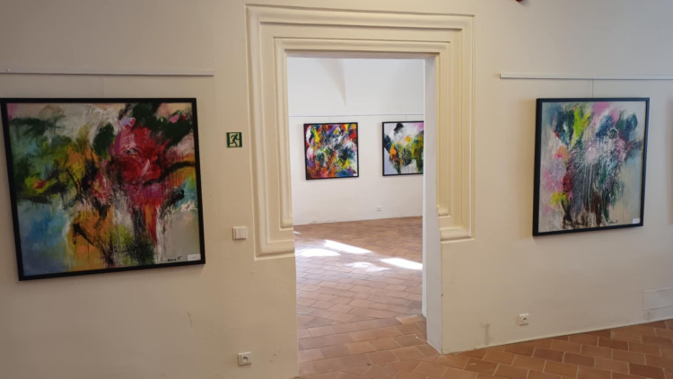 FOTOGALERIE: Hra barev Jaroslava Faltýnka v Prostějově