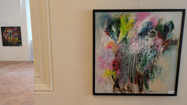 FOTOGALERIE: Hra barev Jaroslava Faltýnka v Prostějově