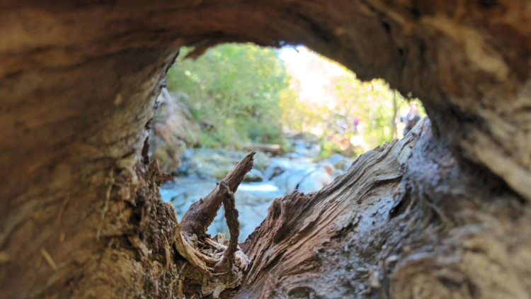 FOTOGALERIE: Bílá Opava