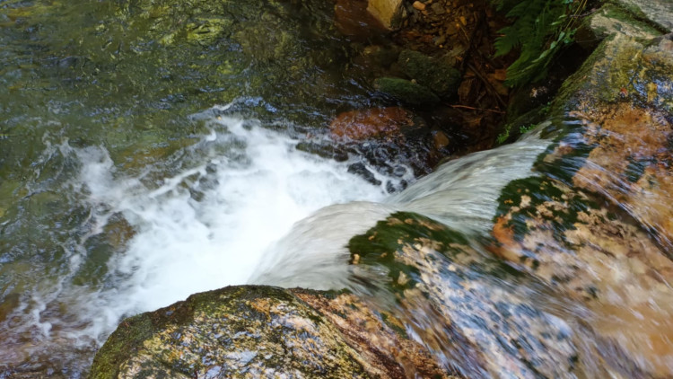 FOTOGALERIE: Bílá Opava