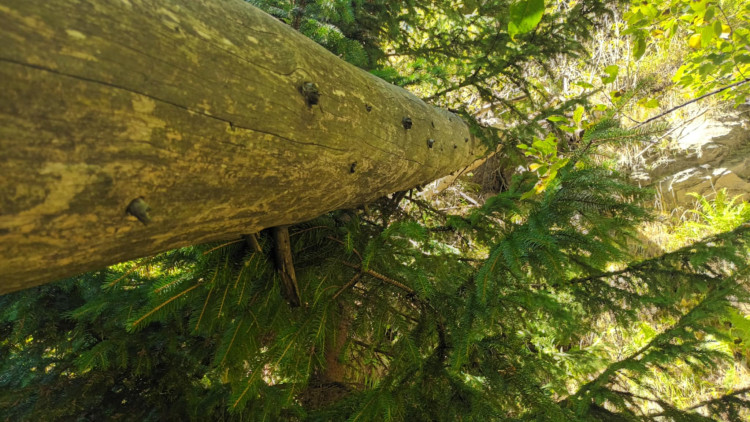 FOTOGALERIE: Bílá Opava