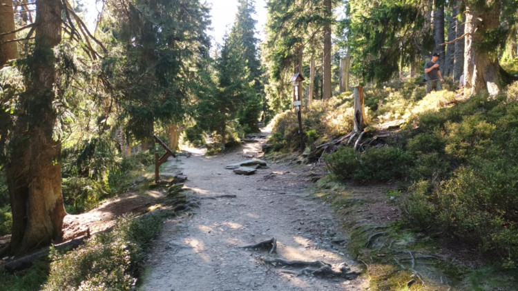 FOTOGALERIE: Bílá Opava