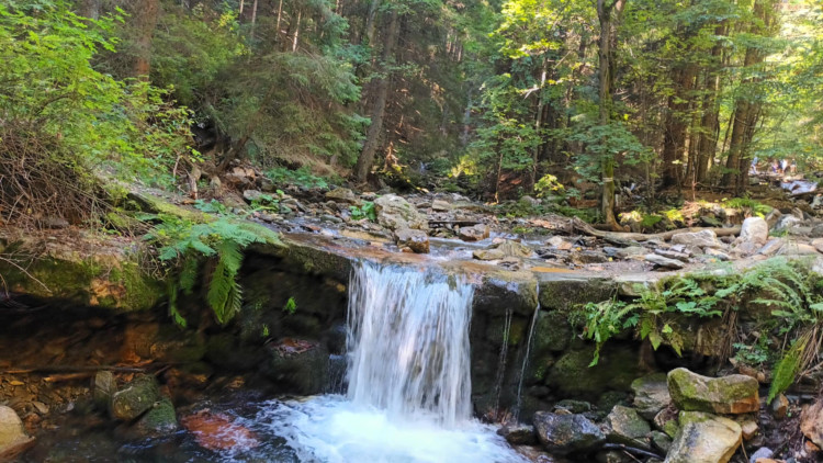 FOTOGALERIE: Bílá Opava