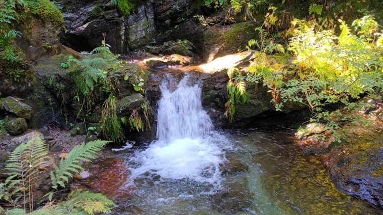 FOTOGALERIE: Bílá Opava