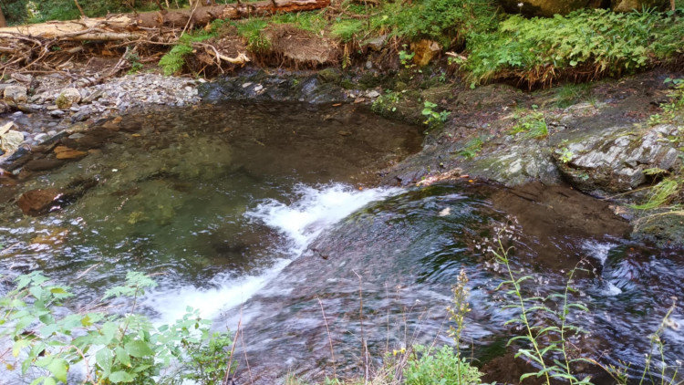 FOTOGALERIE: Bílá Opava