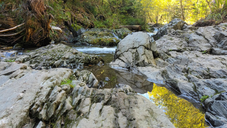 FOTOGALERIE: Bílá Opava
