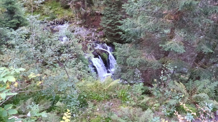 FOTOGALERIE: Bílá Opava