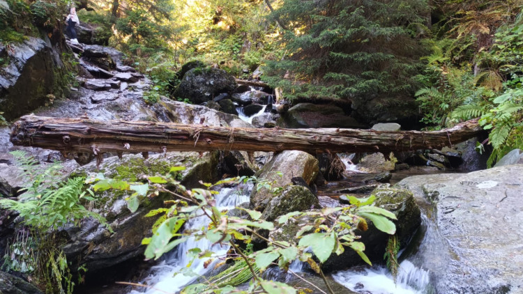 FOTOGALERIE: Bílá Opava