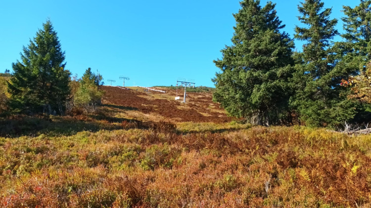 FOTOGALERIE: Bílá Opava