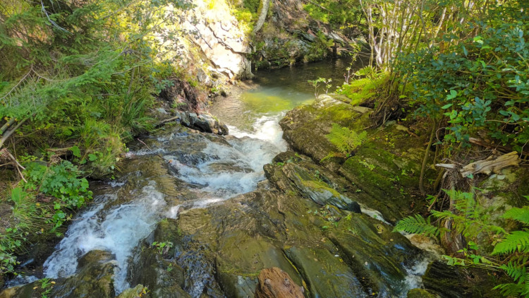 FOTOGALERIE: Bílá Opava