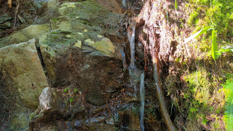 FOTOGALERIE: Bílá Opava