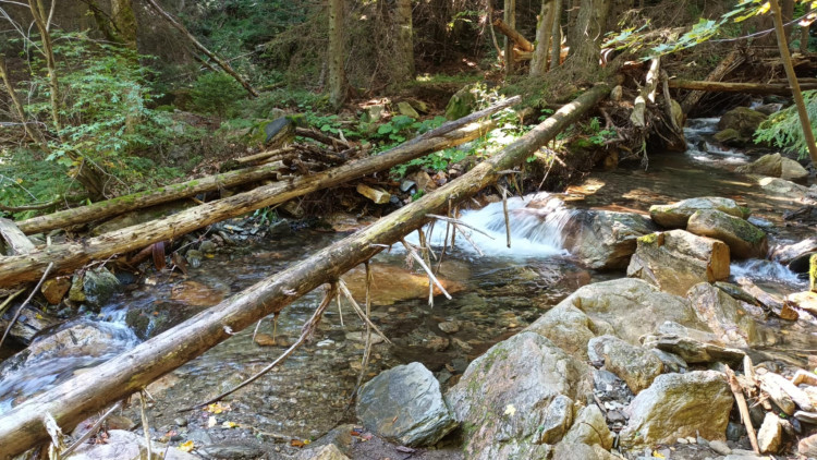 FOTOGALERIE: Bílá Opava