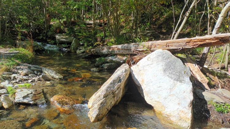 FOTOGALERIE: Bílá Opava