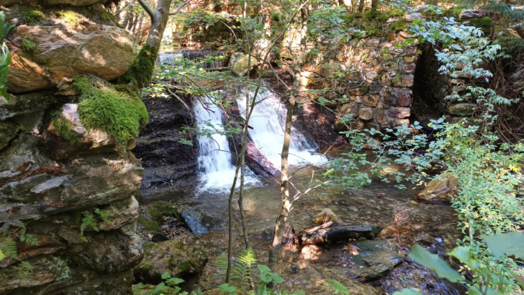 FOTOGALERIE: Bílá Opava