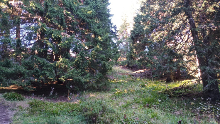 FOTOGALERIE: Bílá Opava