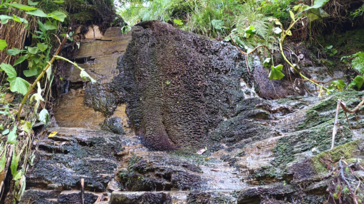 FOTOGALERIE: Bílá Opava