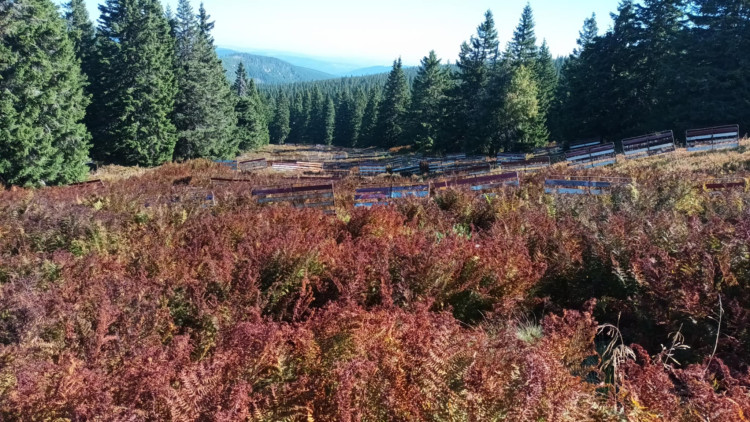 FOTOGALERIE: Bílá Opava