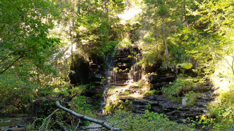 FOTOGALERIE: Bílá Opava