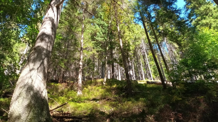 FOTOGALERIE: Bílá Opava