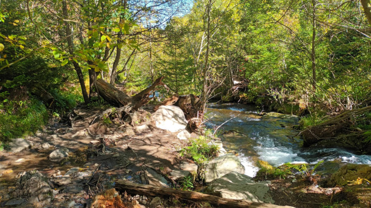 FOTOGALERIE: Bílá Opava