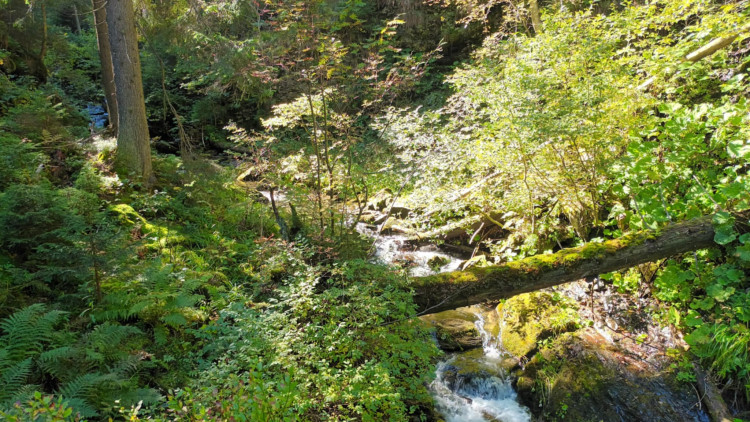 FOTOGALERIE: Bílá Opava