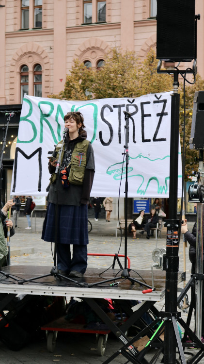 FOTO: Brno proti Macinkovi, na protest přišly stovky lidí
