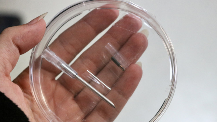 FOTOGALERIE: Jak to vypadá v brněnském útulku pro opuštěná zvířata?