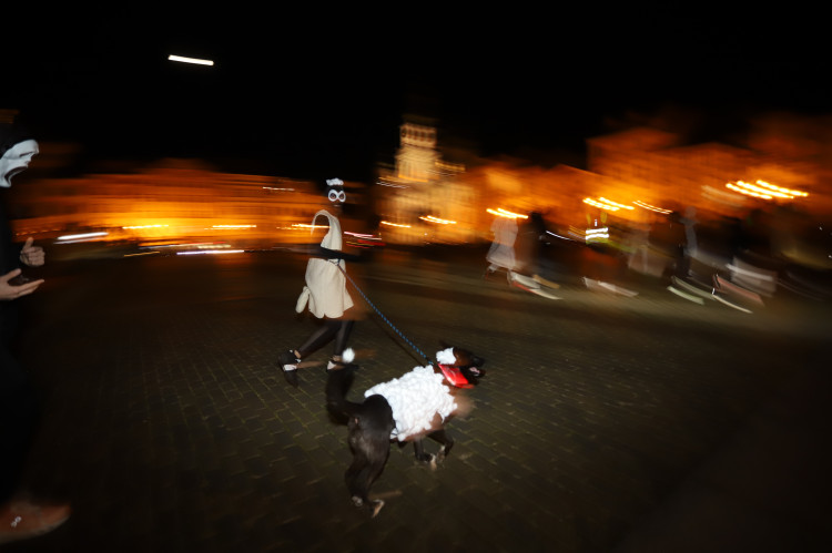 V Budějovicích se běžel Halloween. Ulice zaplnili běžci v maskách i pes převlečený za ovečku