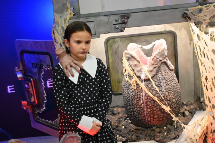 Comic-Con Brno & Junior 2025