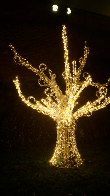 FOTOGALERIE: Ze Špilberku se znovu stal světelný hrad, výstava potrvá do půlky ledna
