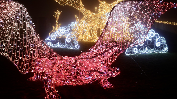 FOTOGALERIE: Ze Špilberku se znovu stal světelný hrad, výstava potrvá do půlky ledna