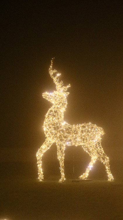 FOTOGALERIE: Ze Špilberku se znovu stal světelný hrad, výstava potrvá do půlky ledna