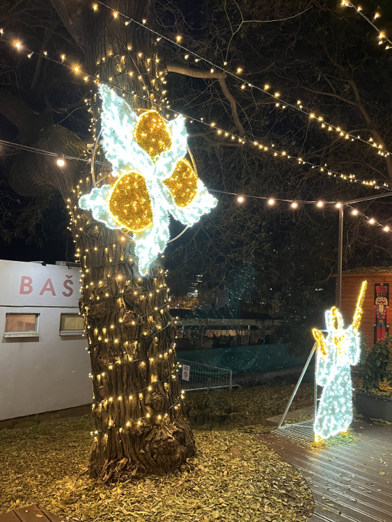 FOTO: Ulice Bašty ožila Vánocemi. Lidé obdivují svítící Popelku, prince i kočár