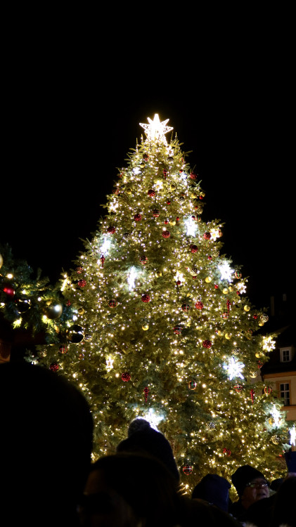 FOTO: V srdci Brna dnes zazářily vánoční stromy. Podívaná přilákala tisíce lidí