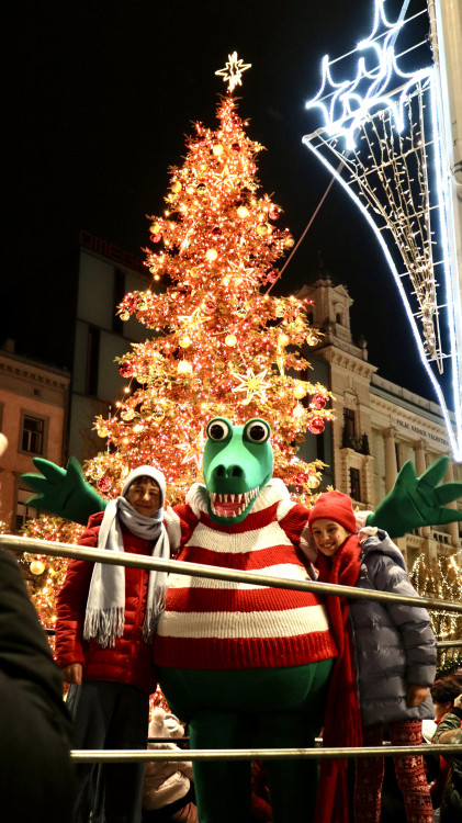 FOTO: V srdci Brna dnes zazářily vánoční stromy. Podívaná přilákala tisíce lidí
