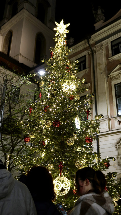 FOTO: V srdci Brna dnes zazářily vánoční stromy. Podívaná přilákala tisíce lidí