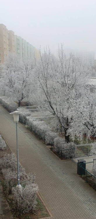 FOTO: Brno a okolí dnes zasypal sníh. Podívejte se, jak to na jižní Moravě vypadalo