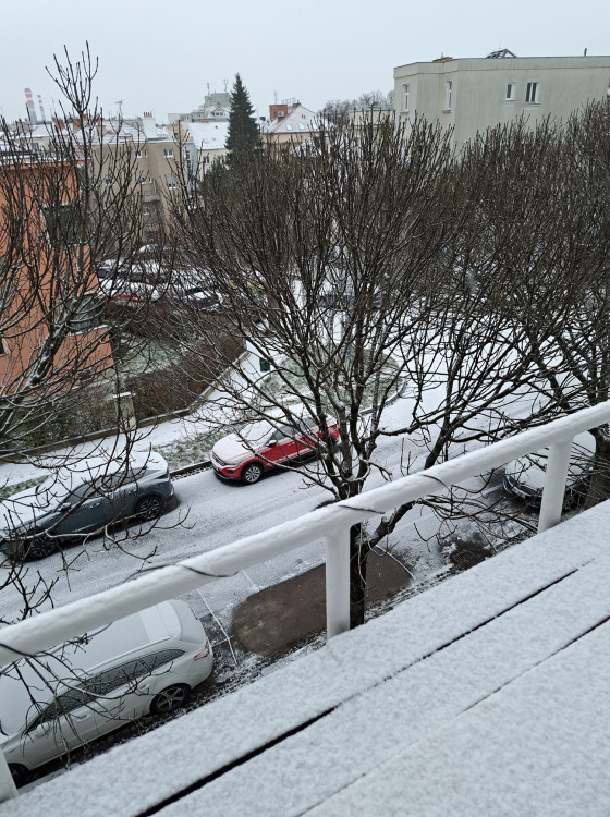 FOTO: Brno a okolí dnes zasypal sníh. Podívejte se, jak to na jižní Moravě vypadalo