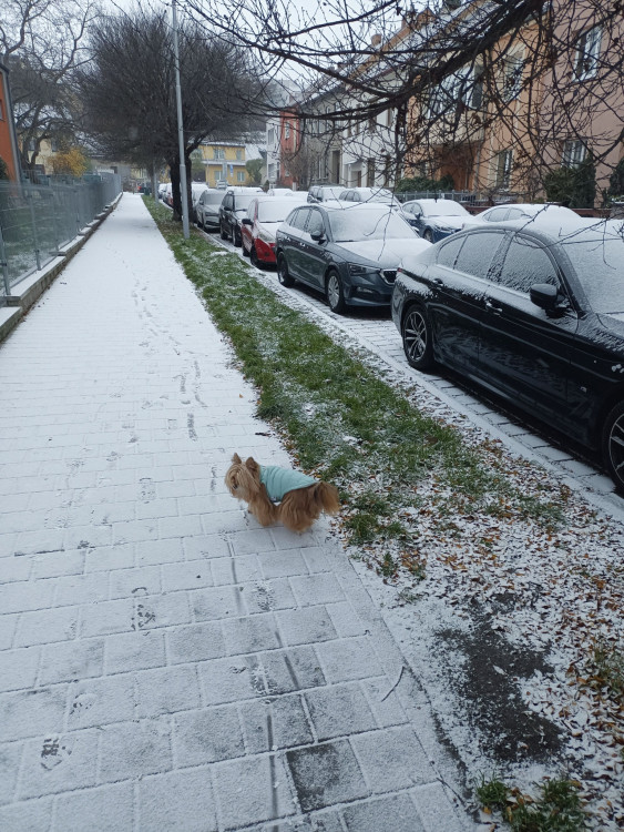FOTO: Brno a okolí dnes zasypal sníh. Podívejte se, jak to na jižní Moravě vypadalo